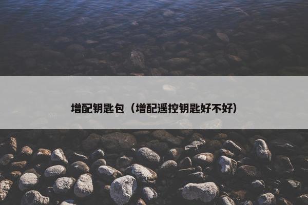 增配钥匙包（增配遥控钥匙好不好）
