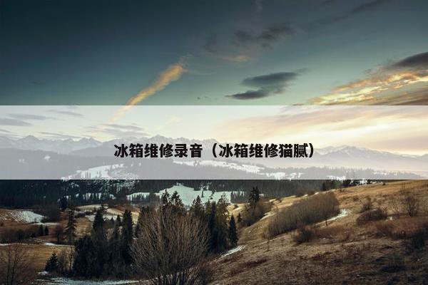 冰箱维修录音（冰箱维修猫腻）