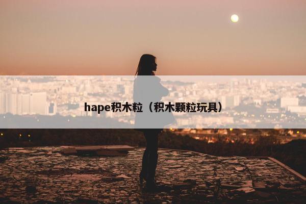hape积木粒（积木颗粒玩具）