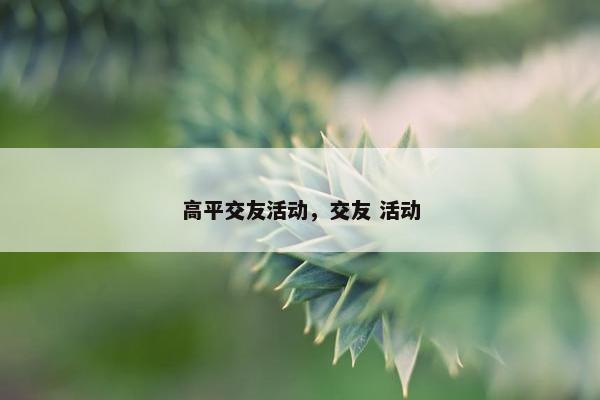 高平交友活动，交友 活动