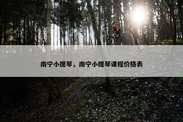 南宁小提琴，南宁小提琴课程价格表