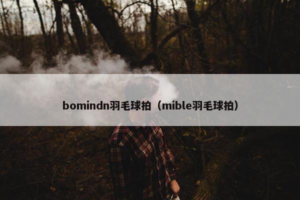 bomindn羽毛球拍（mible羽毛球拍）