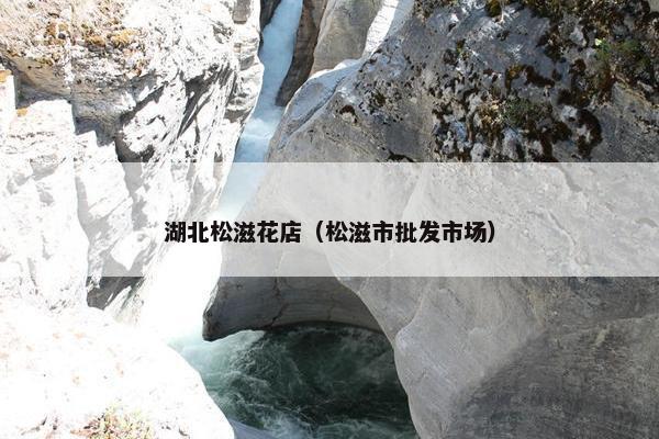 湖北松滋花店（松滋市批发市场）