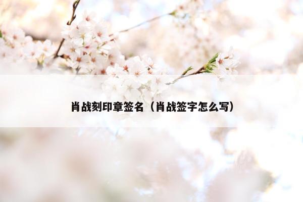 肖战刻印章签名（肖战签字怎么写）