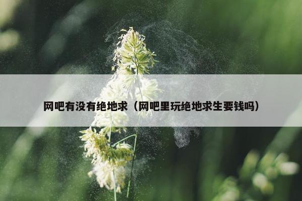 网吧有没有绝地求（网吧里玩绝地求生要钱吗）