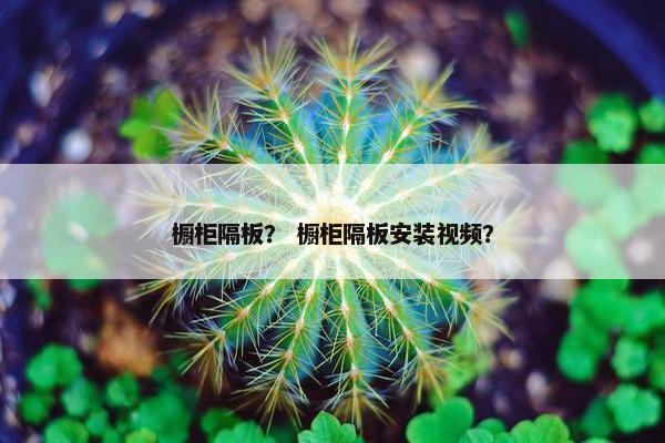 橱柜隔板？ 橱柜隔板安装视频？