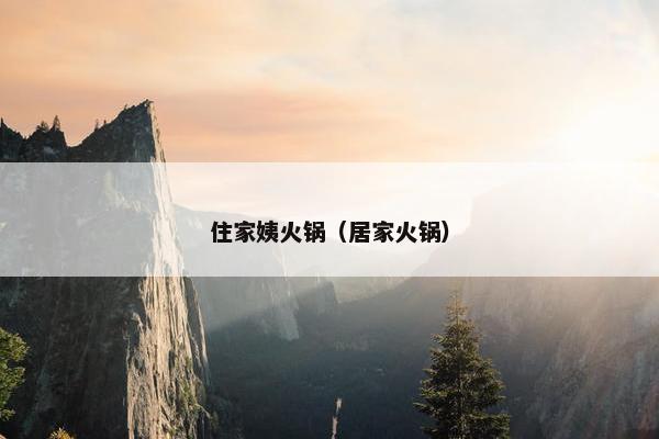 住家姨火锅（居家火锅）