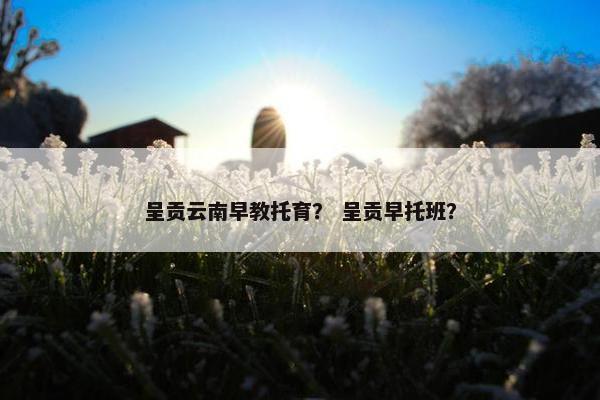 呈贡云南早教托育？ 呈贡早托班？