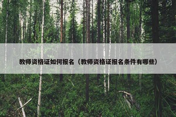 教师资格证如何报名（教师资格证报名条件有哪些）
