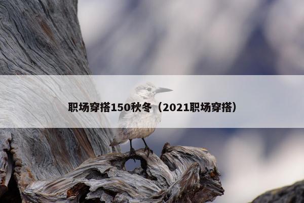 职场穿搭150秋冬（2021职场穿搭）