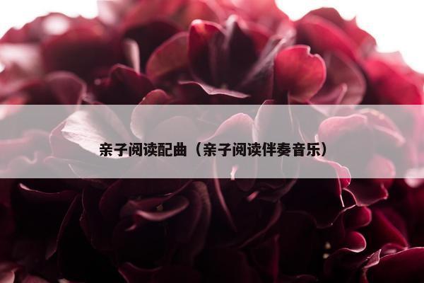 亲子阅读配曲（亲子阅读伴奏音乐）