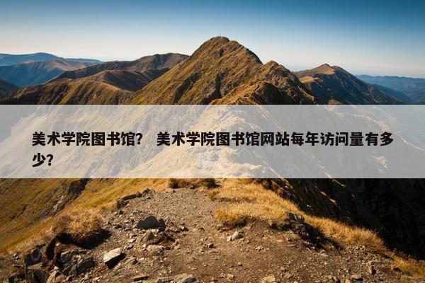 美术学院图书馆？ 美术学院图书馆网站每年访问量有多少？