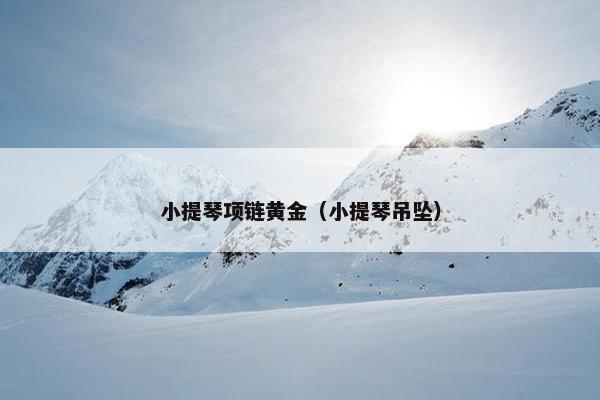 小提琴项链黄金（小提琴吊坠）