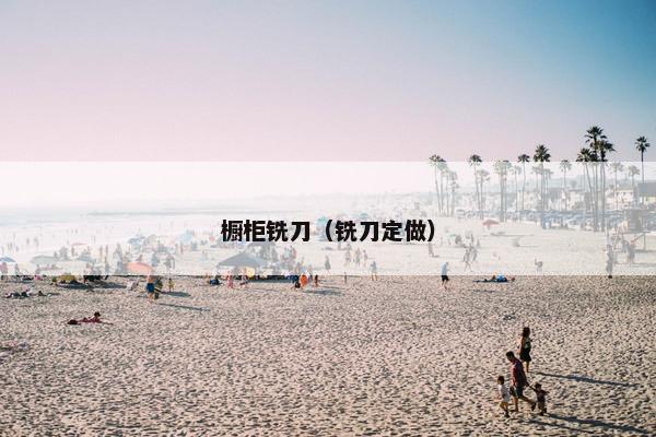 橱柜铣刀(铣刀定做) 橱柜铣刀(铣刀定做)