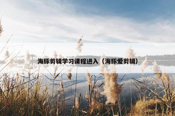 海豚剪辑学习课程进入（海豚爱剪辑）