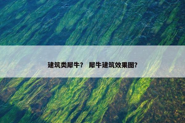 建筑类犀牛? 犀牛建筑效果图? 建筑类犀牛? 犀牛建筑效果图?