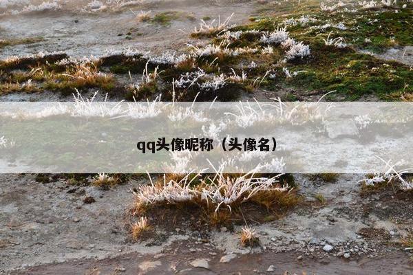qq头像昵称（头像名）