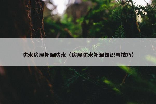 防水房屋补漏防水（房屋防水补漏知识与技巧）
