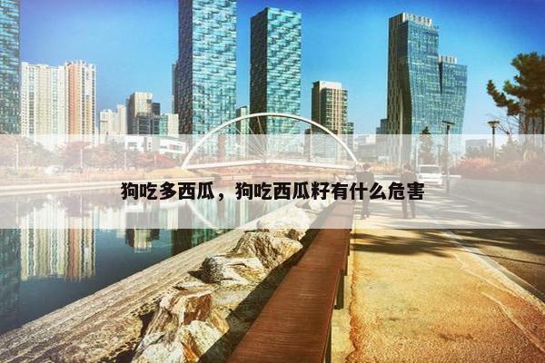 狗吃多西瓜，狗吃西瓜籽有什么危害