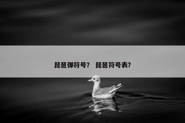 琵琶弹符号? 琵琶符号表? 琵琶弹符号? 琵琶符号表?
