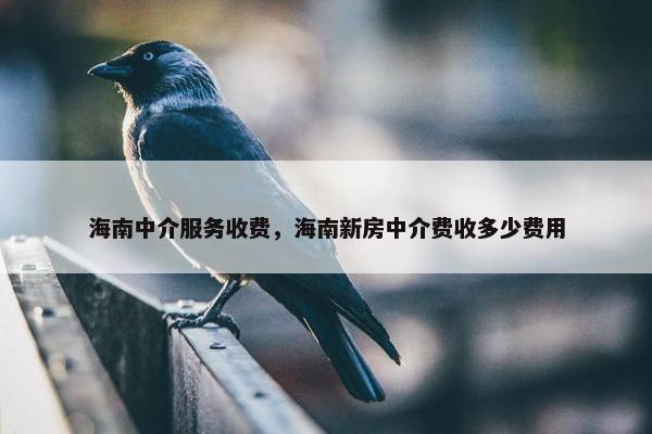 海南中介服务收费，海南新房中介费收多少费用