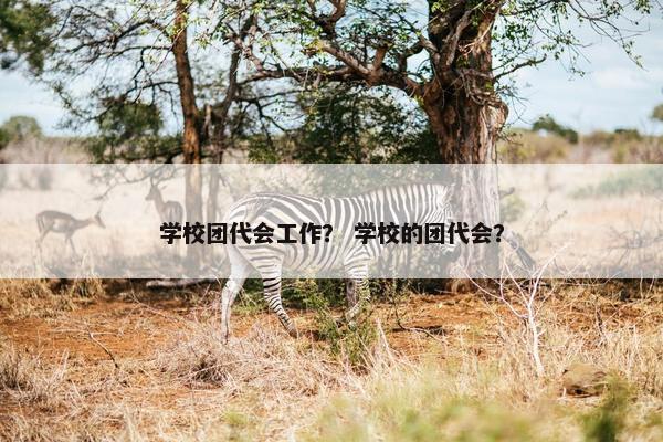 学校团代会工作? 学校的团代会? 学校团代会工作? 学校的团代会?