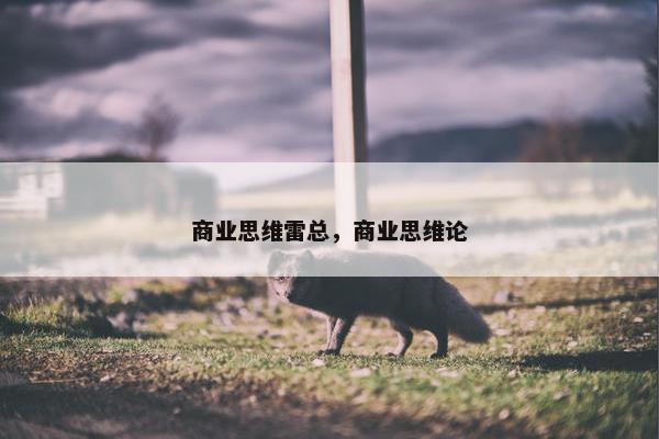 商业思维雷总，商业思维论