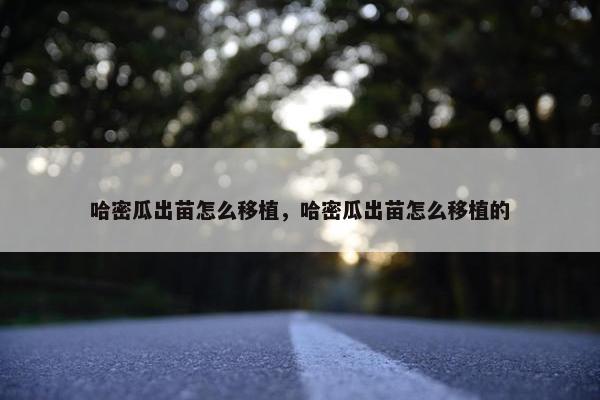 哈密瓜出苗怎么移植，哈密瓜出苗怎么移植的