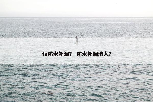 ta防水补漏？ 防水补漏坑人？