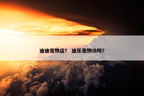 迪迪宠物店？ 迪乐宠物诊所？