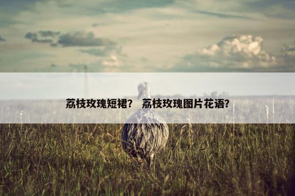 荔枝玫瑰短裙？ 荔枝玫瑰图片花语？