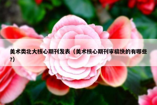美术类北大核心期刊发表（美术核心期刊审稿快的有哪些?）