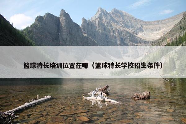 篮球特长培训位置在哪（篮球特长学校招生条件）