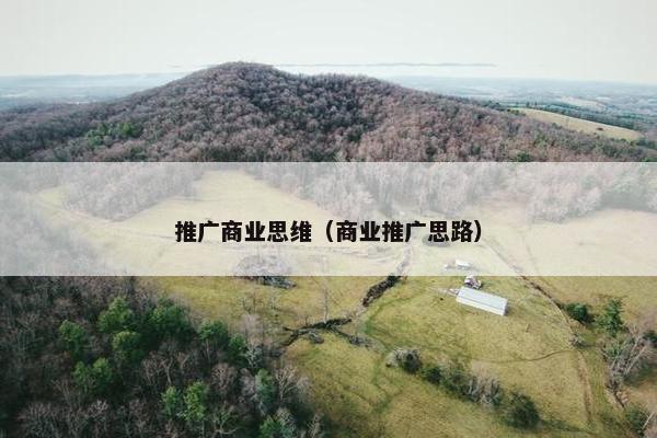 推广商业思维（商业推广思路）