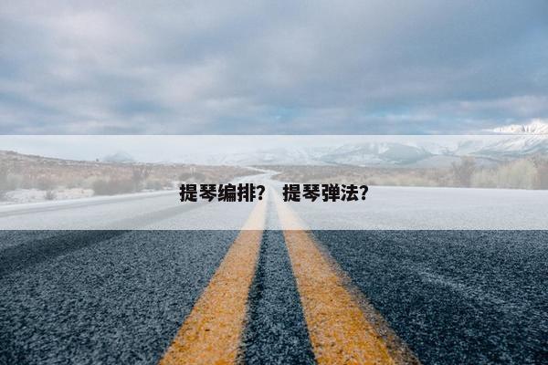 提琴编排？ 提琴弹法？