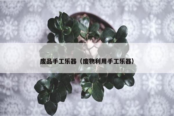 废品手工乐器（废物利用手工乐器）