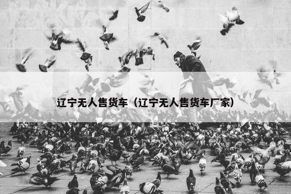 辽宁无人售货车（辽宁无人售货车厂家）