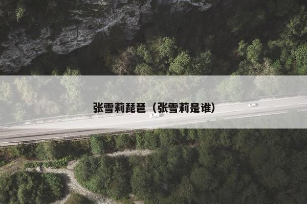 张雪莉琵琶(张雪莉是谁) 张雪莉琵琶(张雪莉是谁)