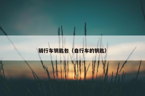 骑行车钥匙包（自行车的钥匙）