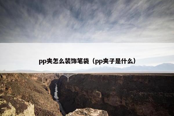 pp夹怎么装饰笔袋(pp夹子是什么) pp夹怎么装饰笔袋(pp夹子是什么)