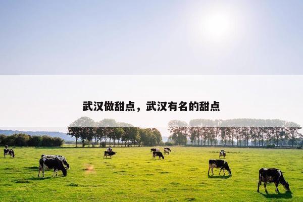 武汉做甜点,武汉有名的甜点 武汉做甜点,武汉有名的甜点