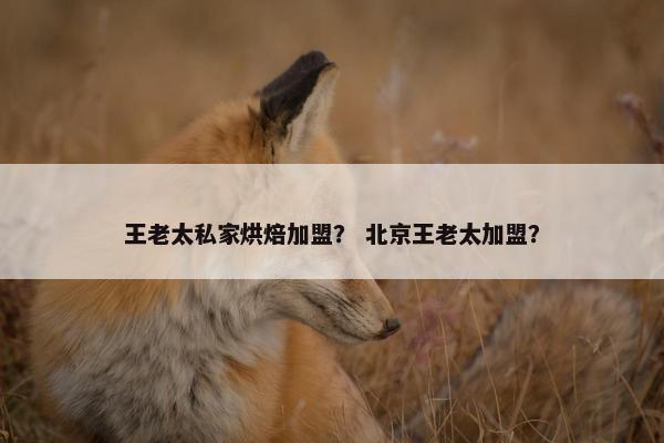 王老太私家烘焙加盟? 北京王老太加盟? 王老太私家烘焙加盟? 北京王老太加盟?