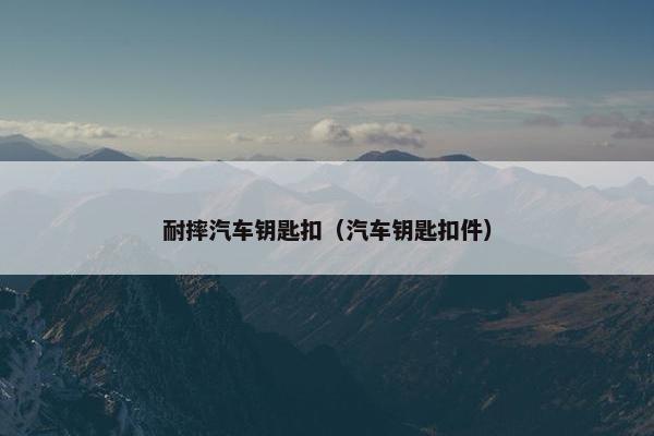 耐摔汽车钥匙扣（汽车钥匙扣件）
