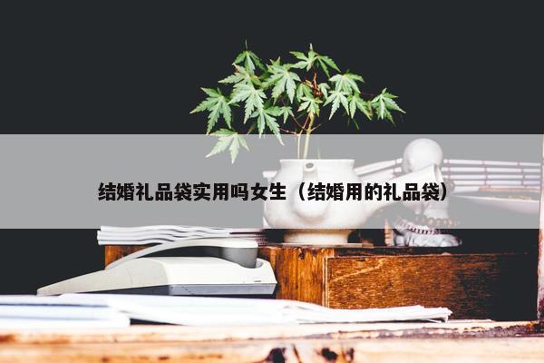 结婚礼品袋实用吗女生（结婚用的礼品袋）