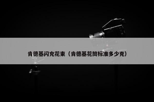 肯德基闪充花束(肯德基花筒标准多少克) 肯德基闪充花束(肯德基花筒标准多少克)