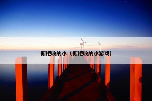 橱柜收纳小（橱柜收纳小游戏）
