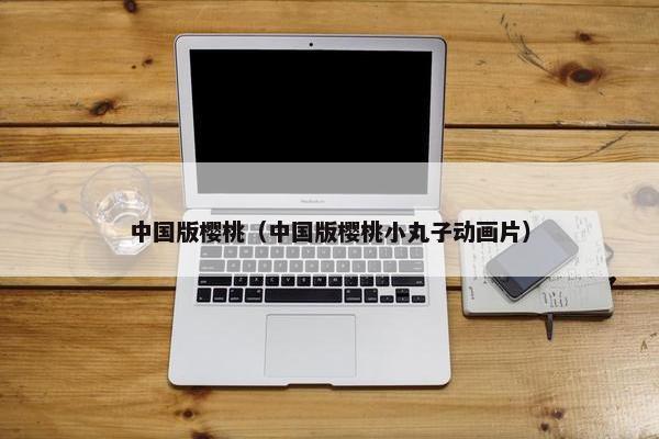 中国版樱桃（中国版樱桃小丸子动画片）
