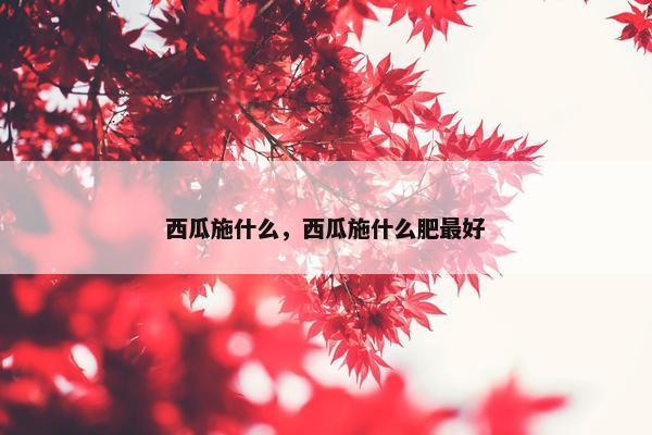 西瓜施什么，西瓜施什么肥最好