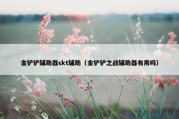 金铲铲辅助器skt辅助（金铲铲之战辅助器有用吗）