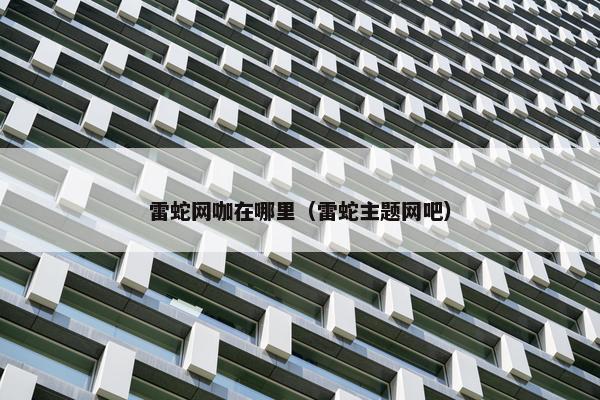 雷蛇网咖在哪里（雷蛇主题网吧）